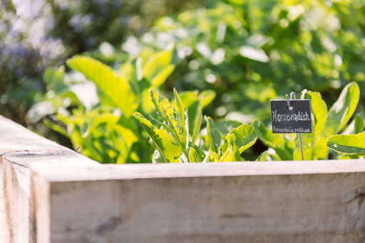 kitchen-garden-1