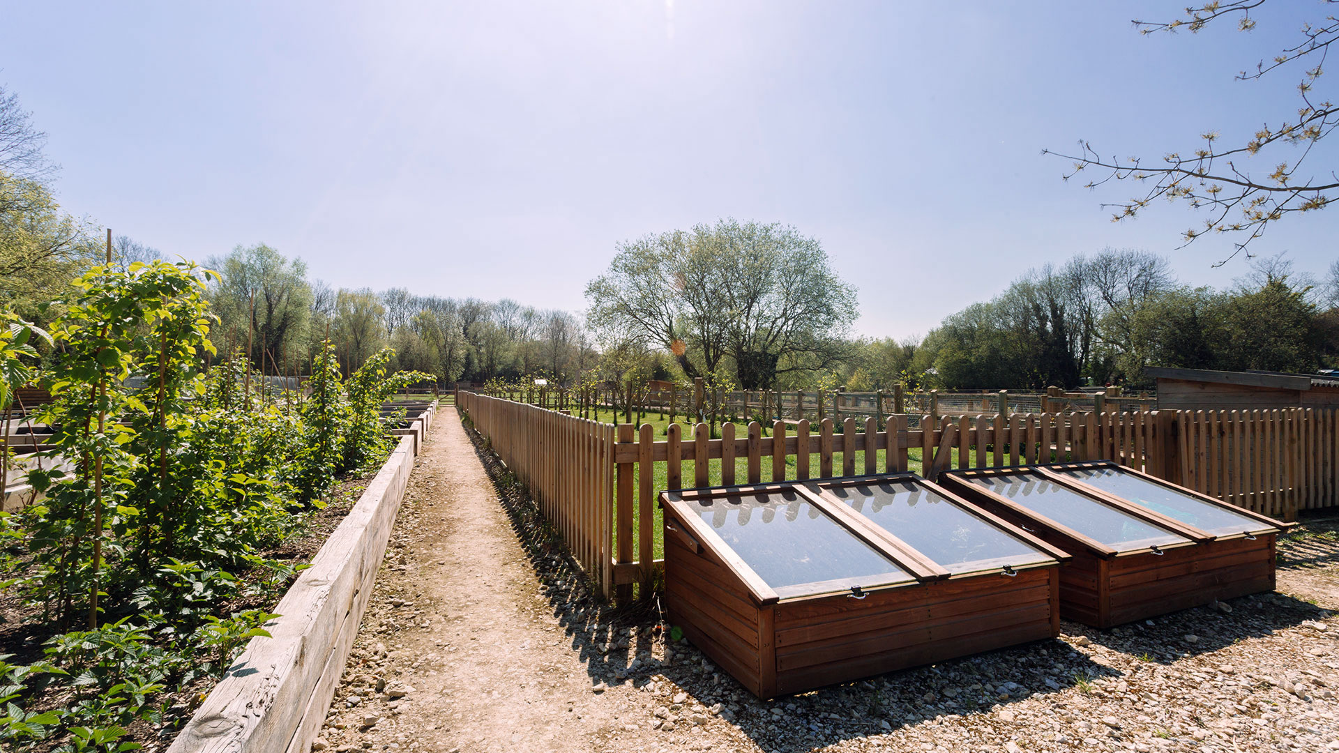 Cassiobury Farm & Fishery